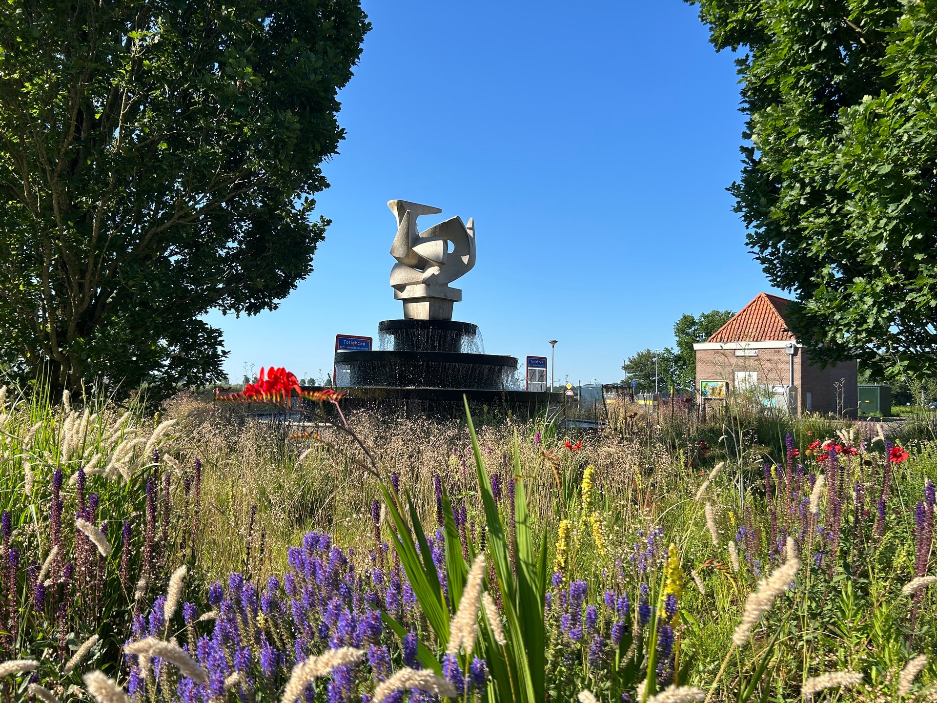 Prairietuin in Tollebeek