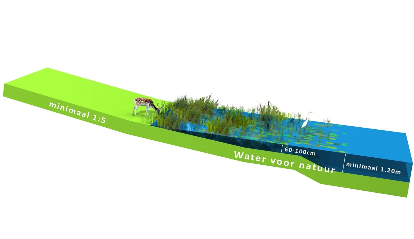 Dwarsdoorsnee Natuurwater